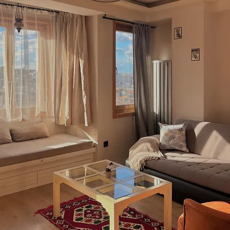 Apartment Taksim Square1 Bedroom 06